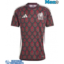 Mexico Replica Home Shirt Copa America 2024 Short Sleeve